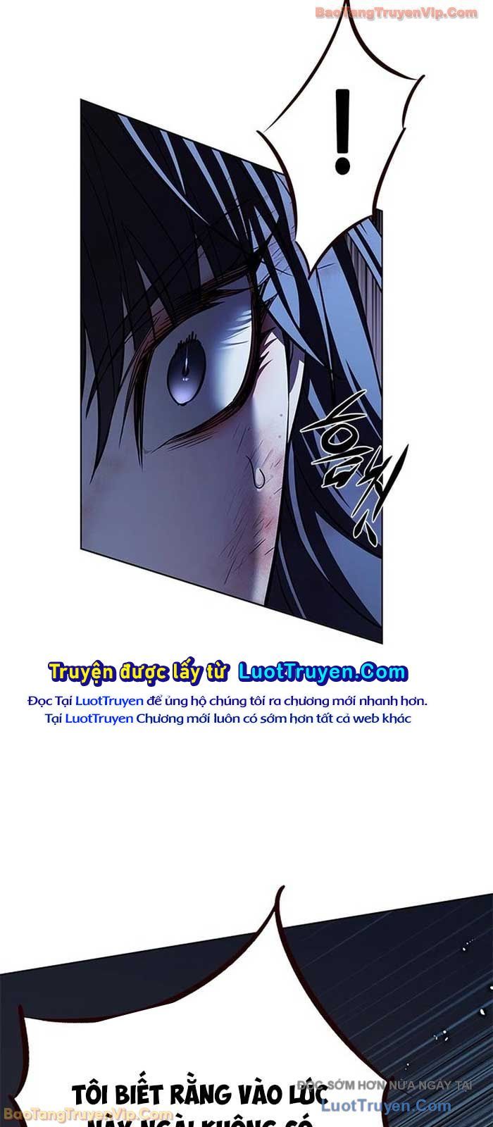 Hoá Thân Thành Mèo Chap 382 - Next Chap 383