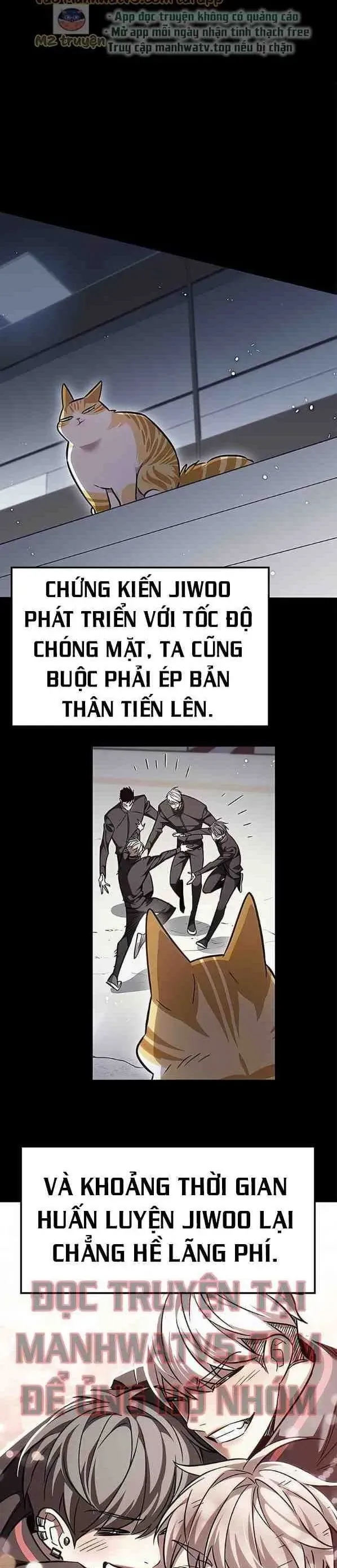 Hoá Thân Thành Mèo Chap 385 - Next Chap 386