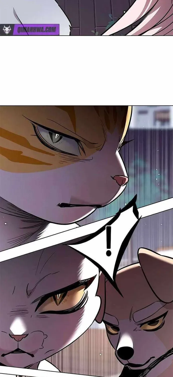 Hoá Thân Thành Mèo Chap 393 - Next Chap 394