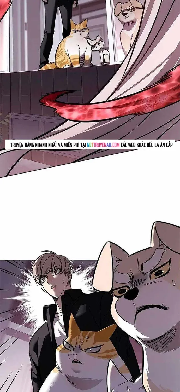 Hoá Thân Thành Mèo Chap 393 - Next Chap 394