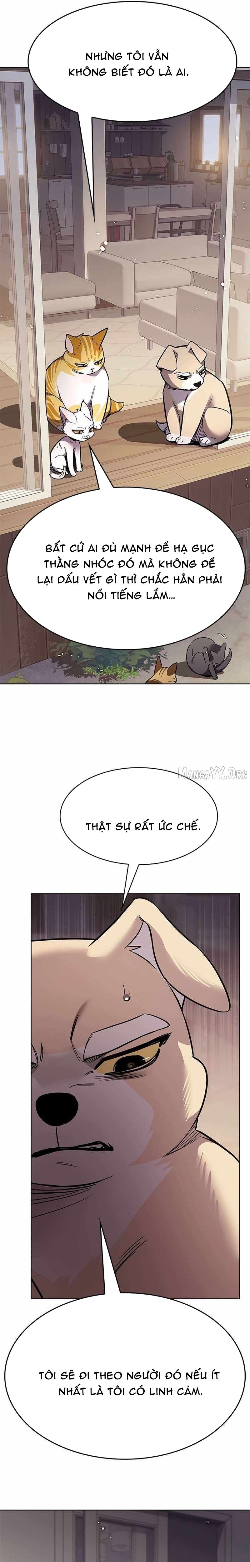 Hoá Thân Thành Mèo Chap 391 - Next Chap 392