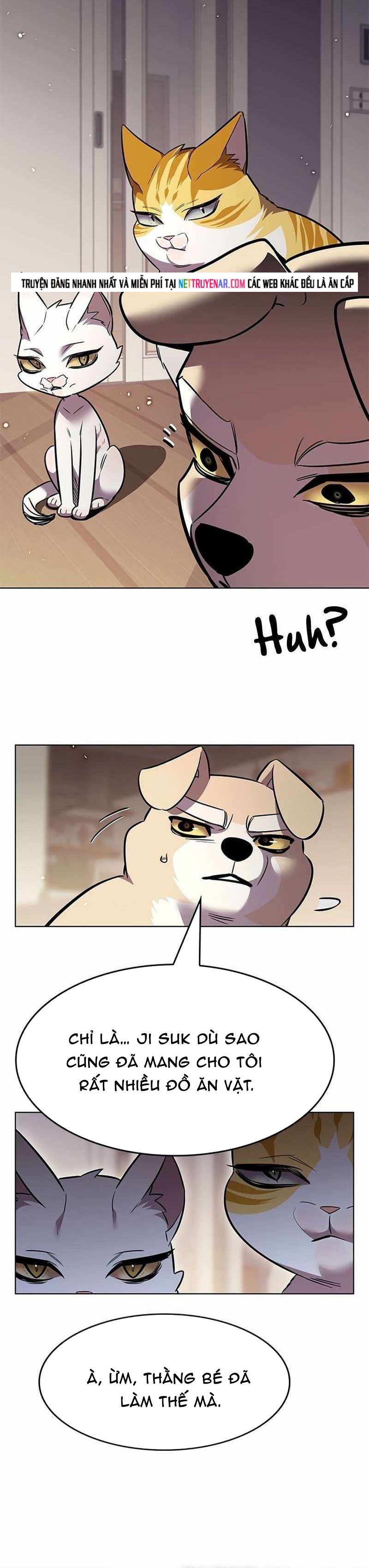 Hoá Thân Thành Mèo Chap 391 - Next Chap 392