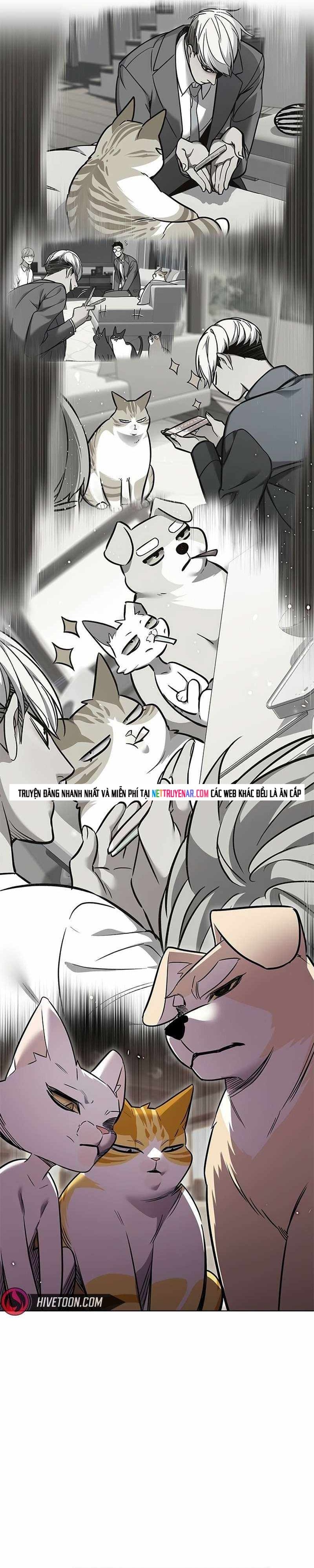 Hoá Thân Thành Mèo Chap 391 - Next Chap 392
