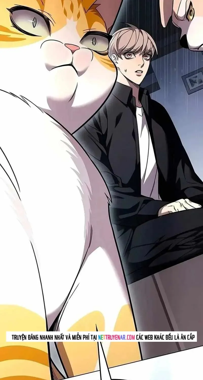 Hoá Thân Thành Mèo Chap 394 - Next Chap 395