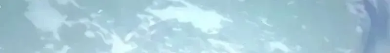 Hoá Thân Thành Mèo Chap 394 - Next Chap 395