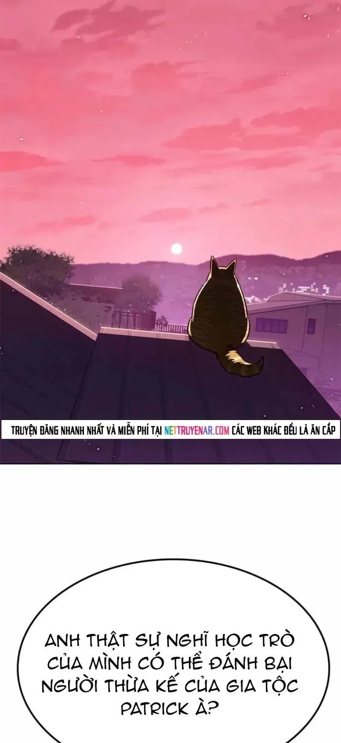 Hoá Thân Thành Mèo Chap 396 - Next Chap 397