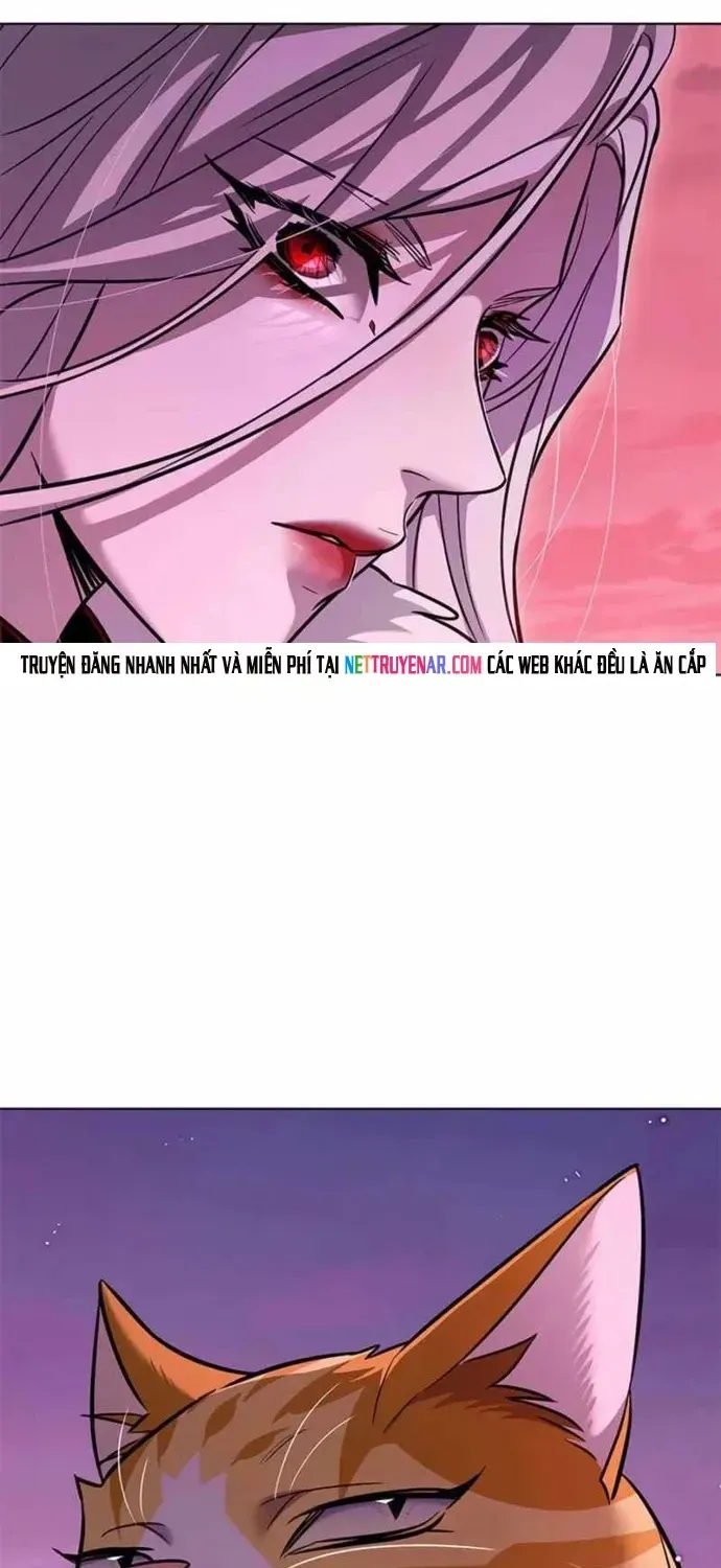 Hoá Thân Thành Mèo Chap 396 - Next Chap 397