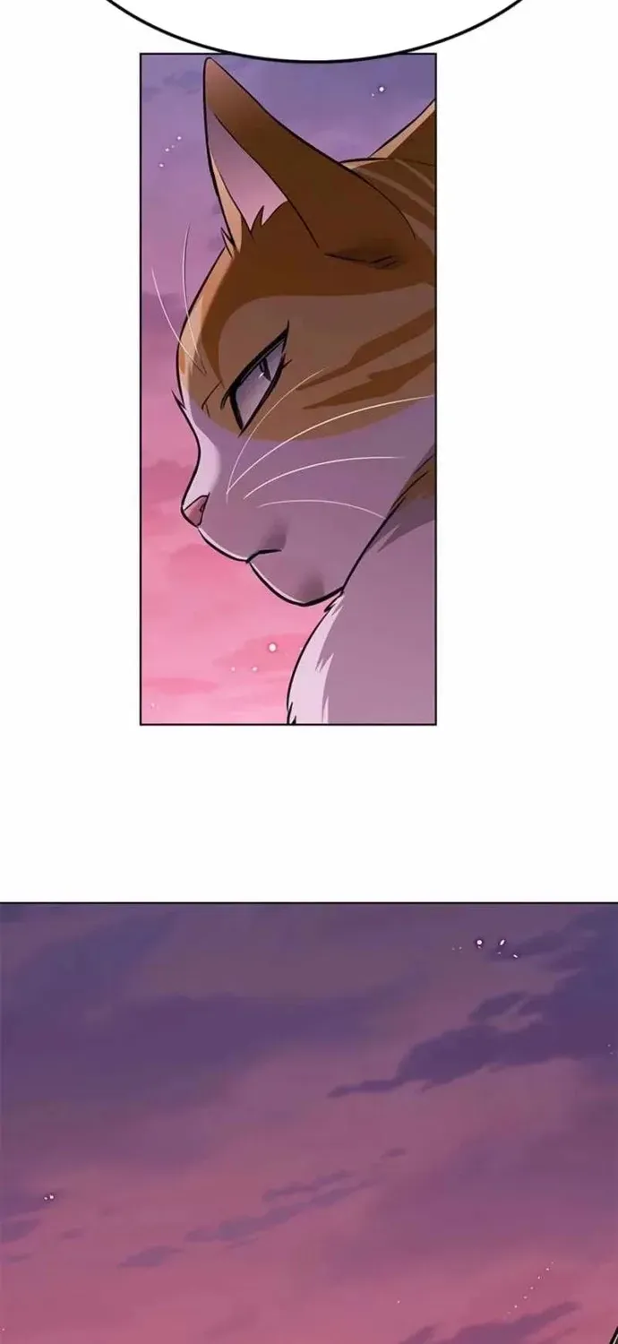 Hoá Thân Thành Mèo Chap 396 - Next Chap 397