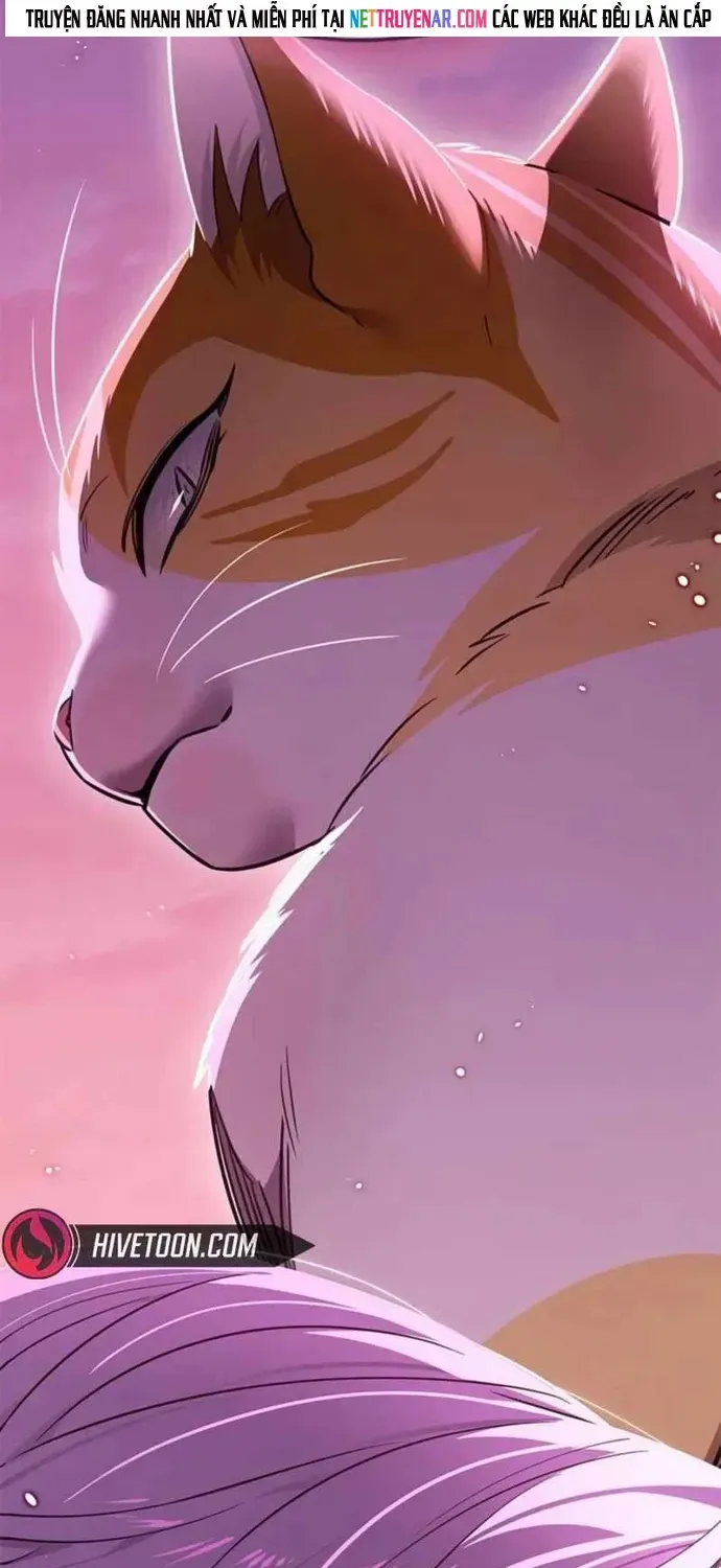 Hoá Thân Thành Mèo Chap 396 - Next Chap 397