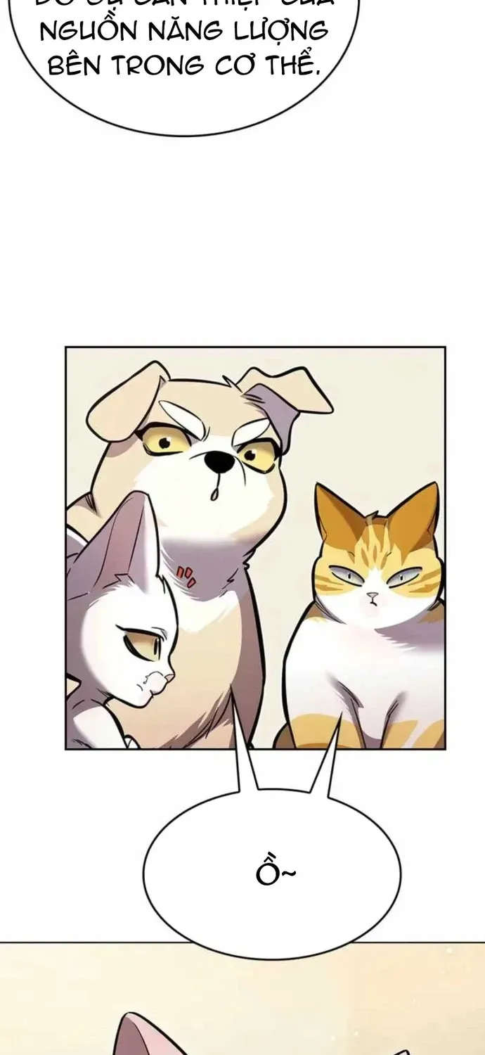 Hoá Thân Thành Mèo Chap 396 - Next Chap 397