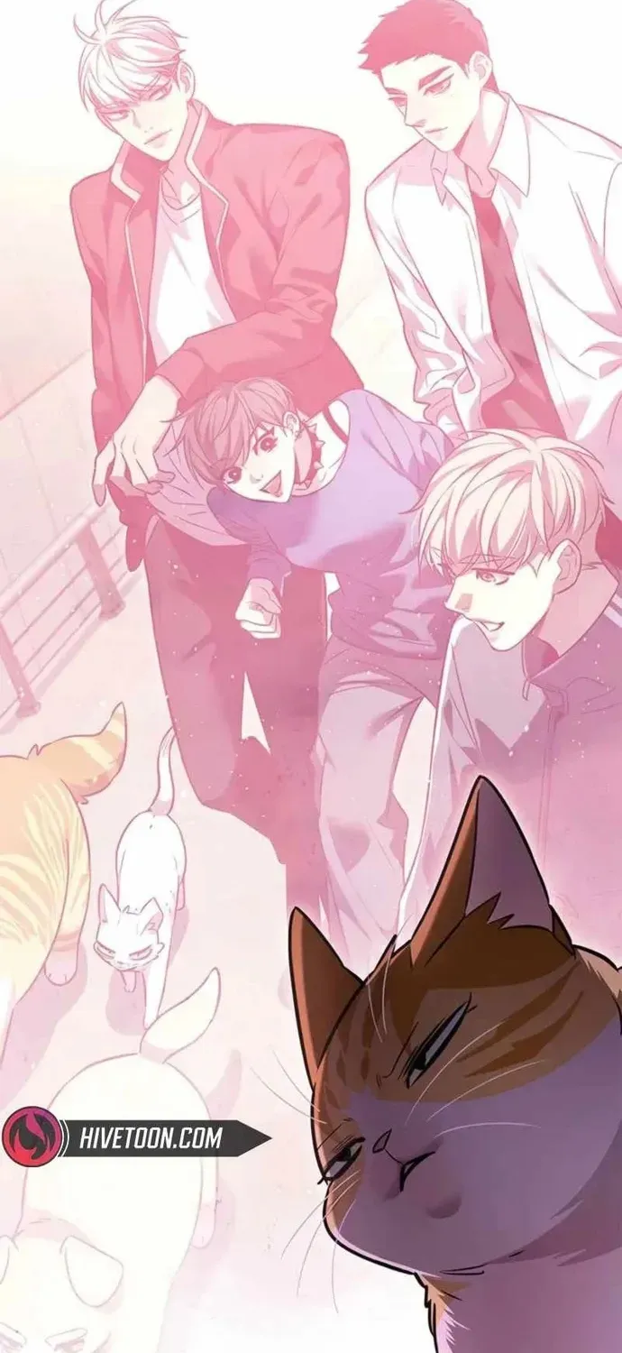 Hoá Thân Thành Mèo Chap 396 - Next Chap 397