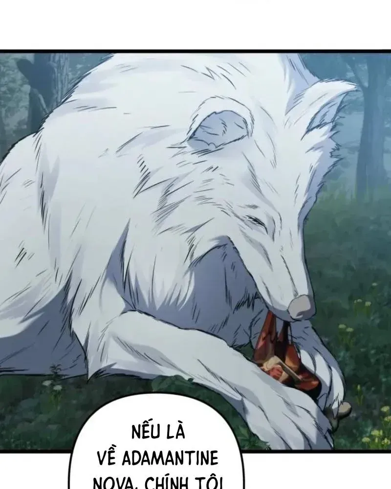 Vua Thăng Cấp Chap 218 - Next Chap 219