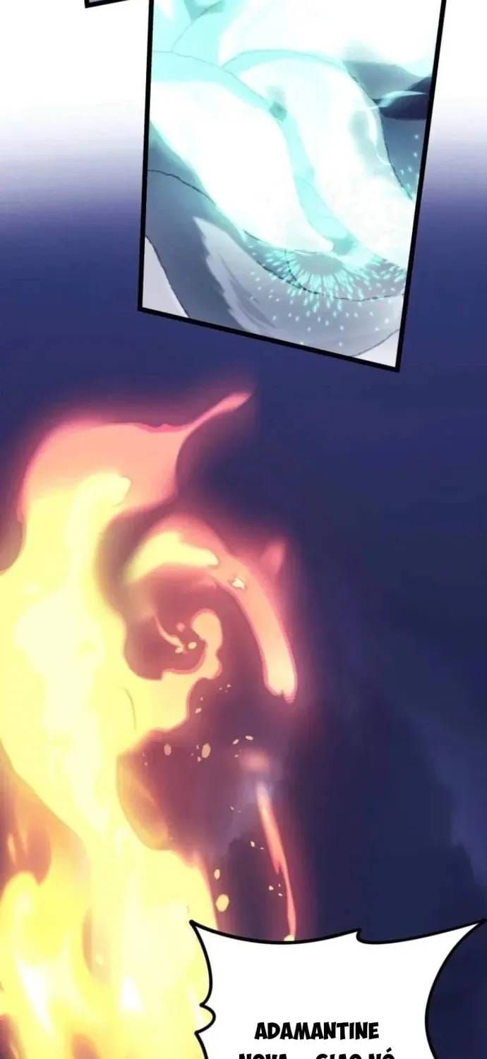 Vua Thăng Cấp Chap 220 - Next Chap 221