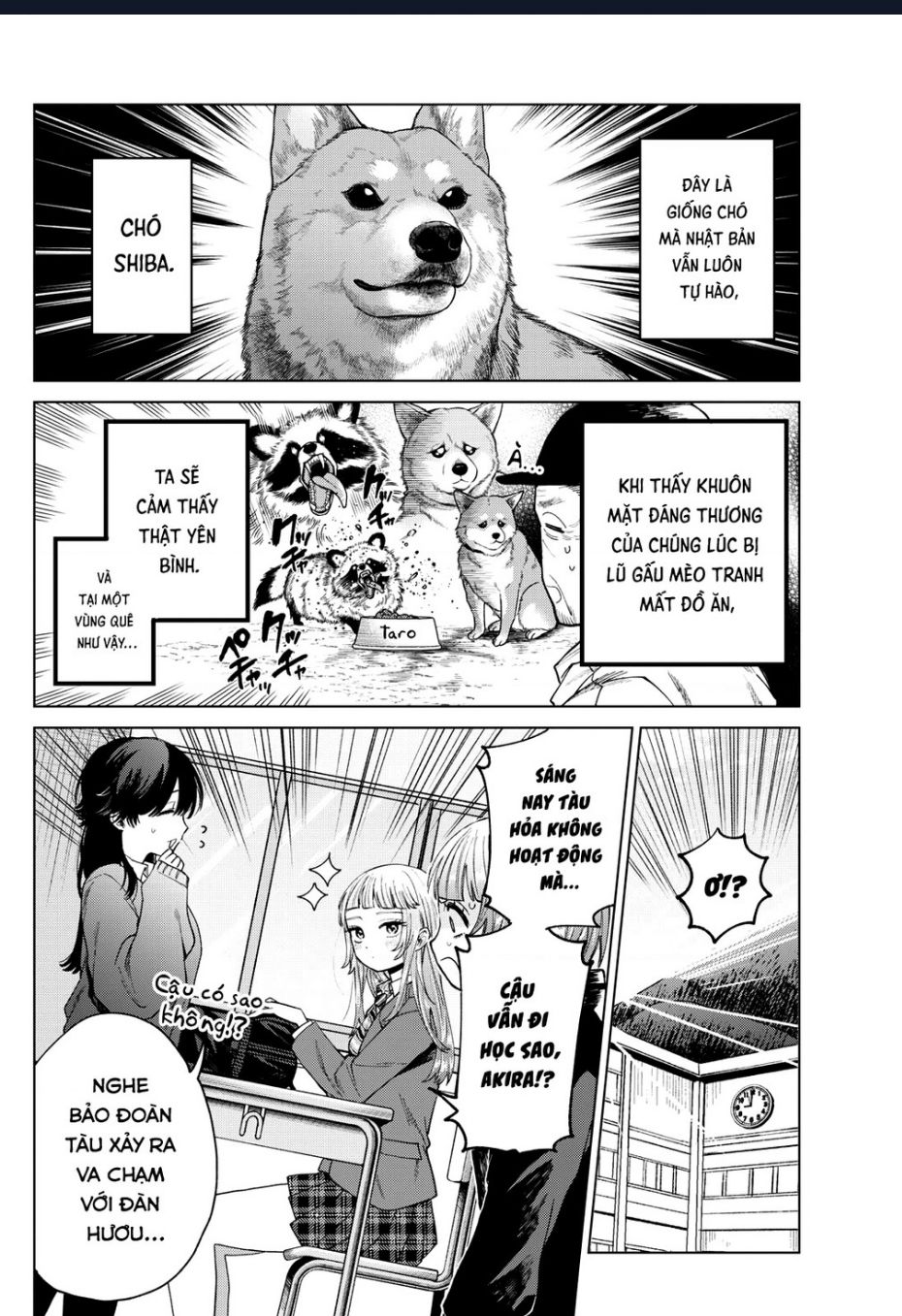 Mối Tình Đầu Đầy Trắc Trở Của Momose Akira Chap 13 - Next Chap 14