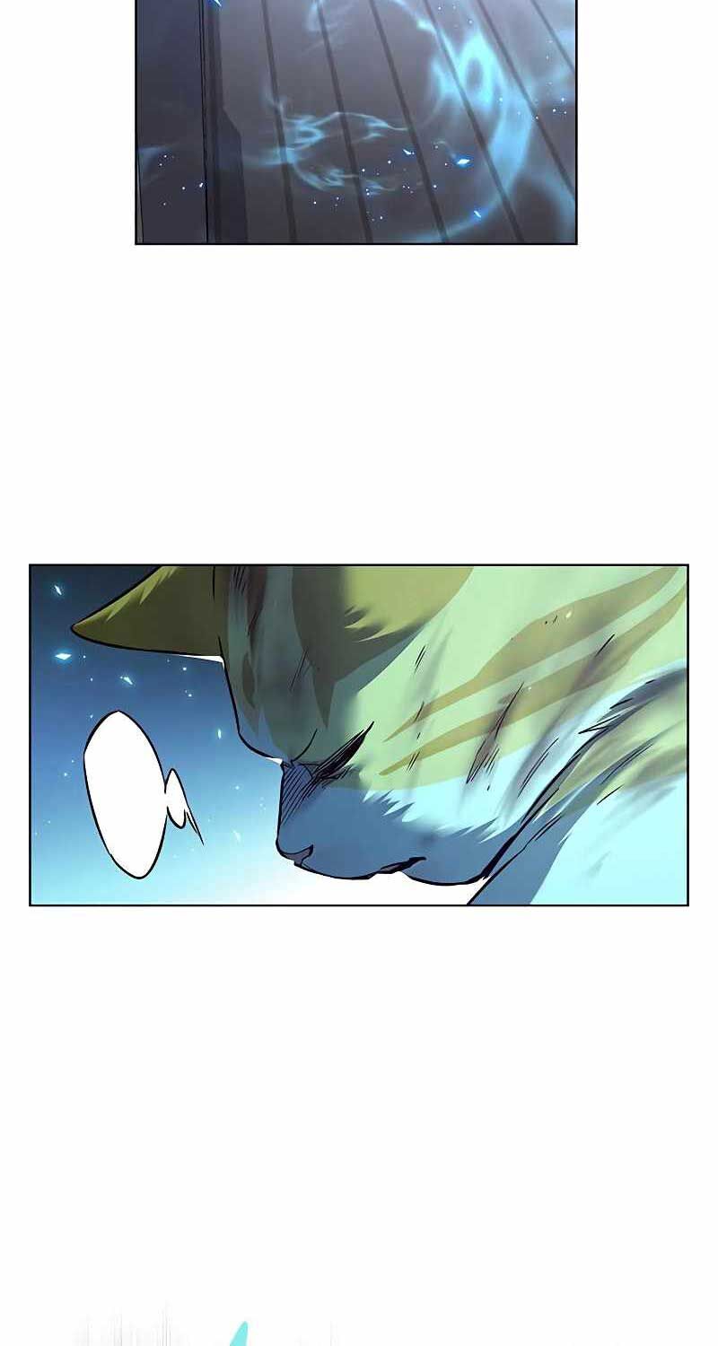Hoá Thân Thành Mèo Chap 321 - Next Chap 322