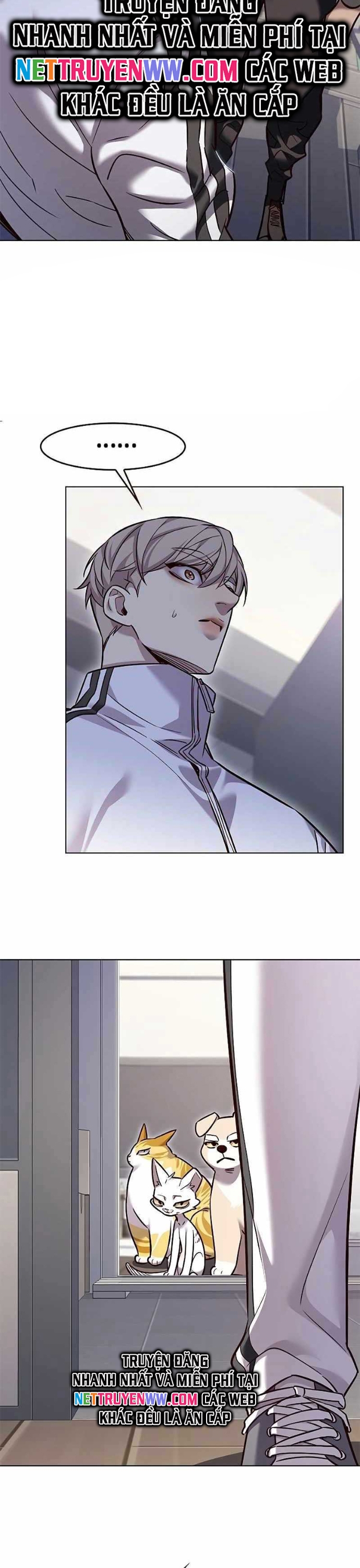 Hoá Thân Thành Mèo Chap 324 - Next Chap 325