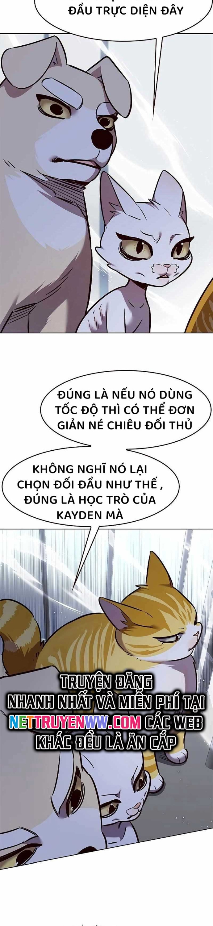 Hoá Thân Thành Mèo Chap 324 - Next Chap 325