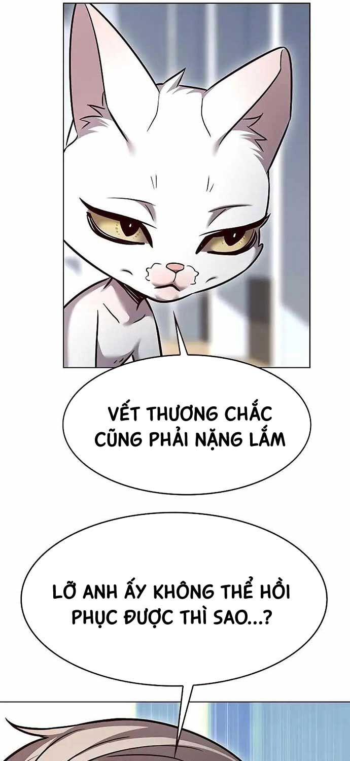 Hoá Thân Thành Mèo Chap 323 - Next Chap 324