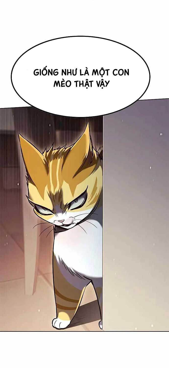 Hoá Thân Thành Mèo Chap 323 - Next Chap 324