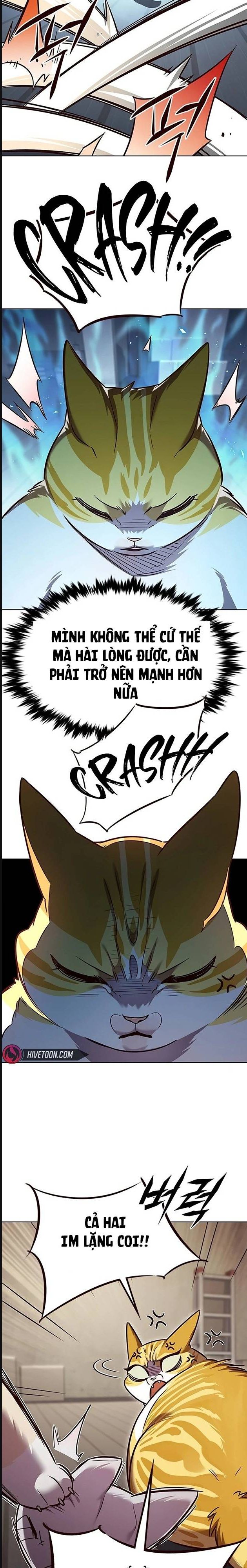 Hoá Thân Thành Mèo Chap 322 - Next Chap 323