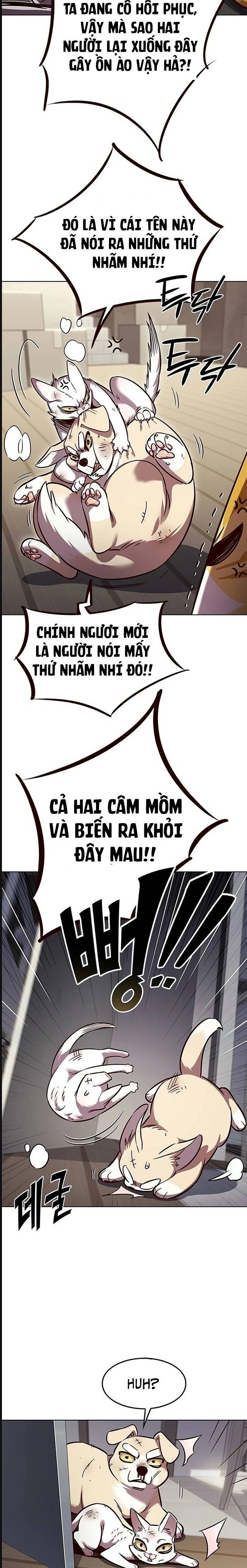 Hoá Thân Thành Mèo Chap 322 - Next Chap 323