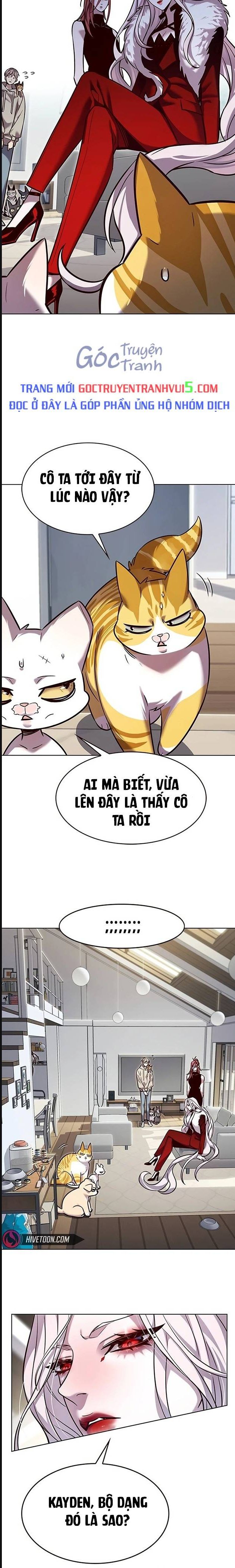 Hoá Thân Thành Mèo Chap 322 - Next Chap 323